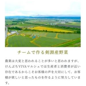 訳ありドラゴンレッド10キロ北海道剣淵町産じゃ...の詳細画像1