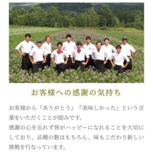 訳ありドラゴンレッド10キロ北海道剣淵町産じゃ...の詳細画像2
