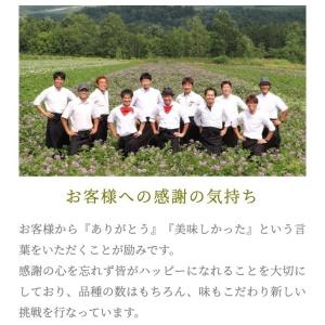 訳ありデストロイヤー5kg 北海道剣淵町産じゃがいもの詳細画像2