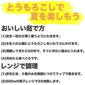 【予約受付中】とうもろこし 訳ありドルチェドリ...の詳細画像3