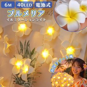 プルメリア イルミネーションライト 6m 40L...の商品画像