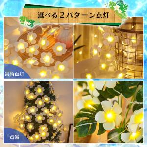プルメリア イルミネーションライト 6m 40...の詳細画像4