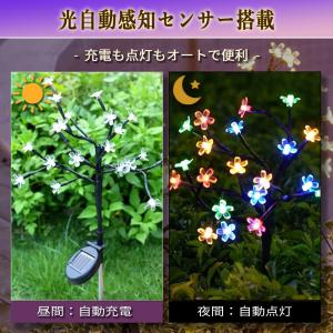 サクラ ソーラーガーデンライト イルミネーショ...の詳細画像2