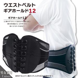 WAISTBELT ウエストベルト ギアホールド12 腰痛 骨盤 補助 姿勢 矯正