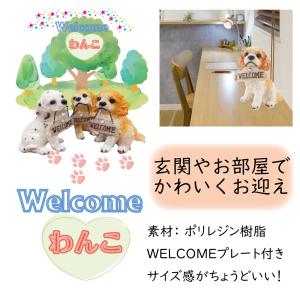 Welcomeわんこキャバリア ガーデンオーナ...の詳細画像2
