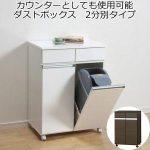 ゴミ箱 ダストボックス カウンター 3分別 キャスター付き 完成品 日本