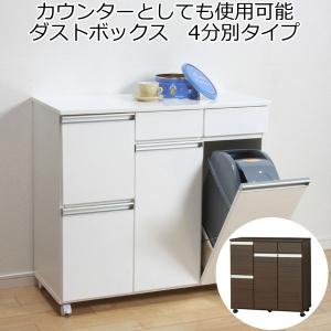 ゴミ箱 ダストボックス 2分別 キャスター付き 引き出し 収納 木製