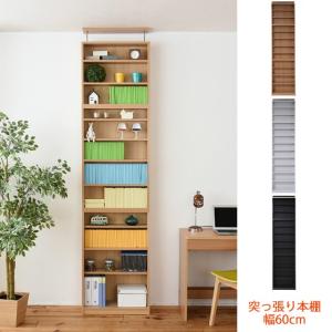 フナモコ（FUNAMOCO） スライド本棚 スライド書棚 A4ファイル収納 低