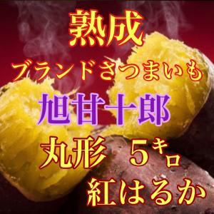芋ソムリエが選んだ熟成ブランド芋 旭甘十郎約　紅はるか　箱込み5キロ弱　送料無料