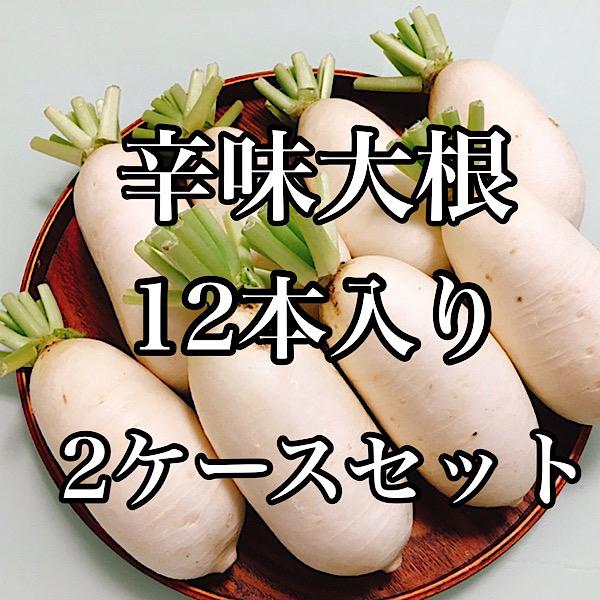 そば、うどんの薬味に！群馬県産　上州辛味大根12本入り2ケースセット　送料無料