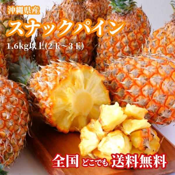 【送料無料・即発送可】沖縄県産スナックパイン 1.6kg以上(2玉〜3玉) 新鮮直送