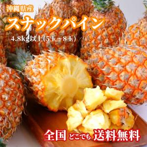 【送料無料・即発送可】沖縄県産スナックパイン 4.8kg以上(5玉〜8玉) 新鮮直送