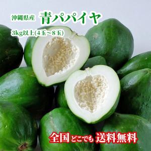 沖縄県産 青パパイヤ3kg(4玉〜8玉) 沖縄琉堂