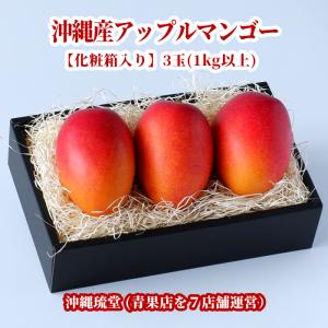 宮古島アップルマンゴー Premium 3個入り　約1.3㎏ 美麗品》宮古島産アップルマンゴー1kg（2〜3個入り） : マンゴー