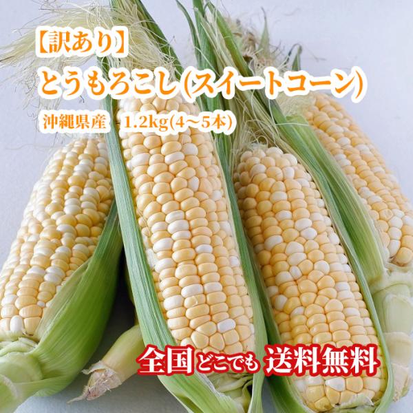 【送料無料・即発送可】沖縄県産【訳あり】とうもろこし(スイートコーン)1.2kg(4〜5本) 新鮮直...
