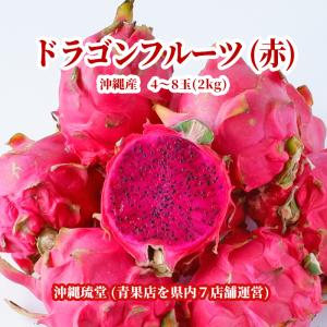 沖縄県産ドラゴンフルーツ(赤) 2kg(4〜8玉)