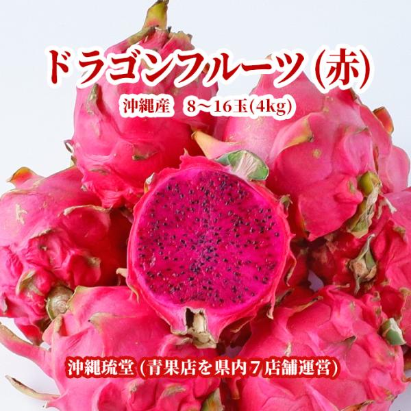 【全国送料無料】沖縄県産ドラゴンフルーツ(赤) 4kg(8〜16玉) 新鮮直送