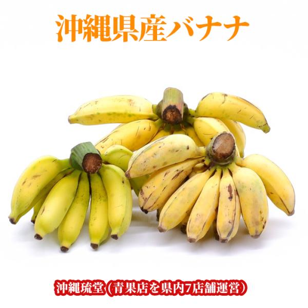 【全国送料無料】沖縄県産バナナ (3種類の中から厳選したバナナをお届け)2kg