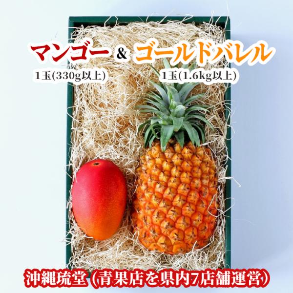 【ギフト最大限対応】【化粧箱入り】沖縄県産アップルマンゴー＆大玉ゴールドバレル 1玉(330g以上)...