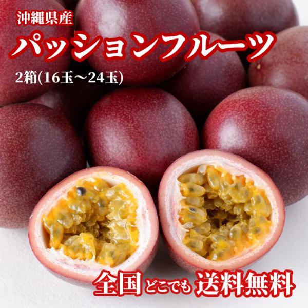 【送料無料・即発送可】沖縄県産パッションフルーツ2箱(16玉〜24玉)　新鮮直送