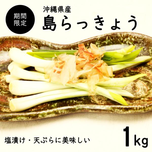 島らっきょう 沖縄産 1kg 食べ方説明書付き 新鮮直送