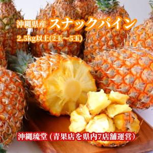 【送料無料・即発送可】沖縄県産スナックパイン 2.5kg以上(2玉〜5玉)