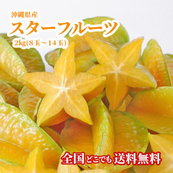 【送料無料・即発送可】沖縄県産スターフルーツ2kg(8玉〜14玉) 新鮮直送