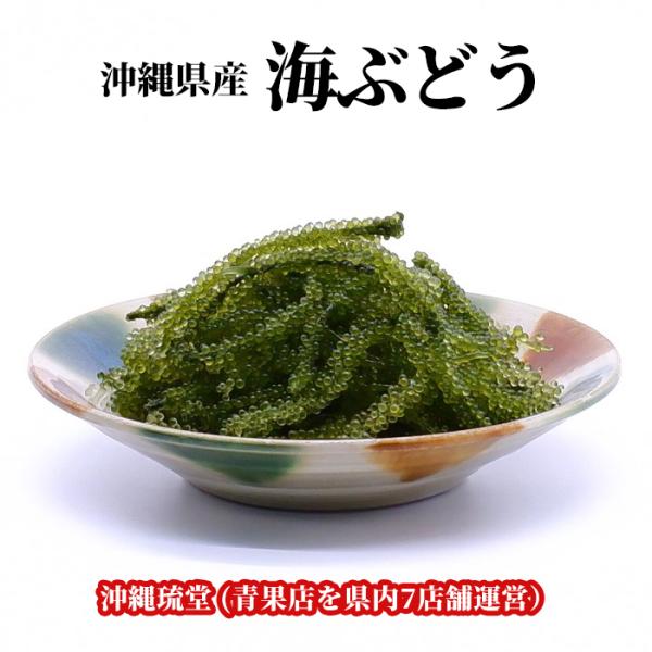 【全国送料無料】沖縄県産 大粒・生 海ぶどう(おもろ海産) 100g