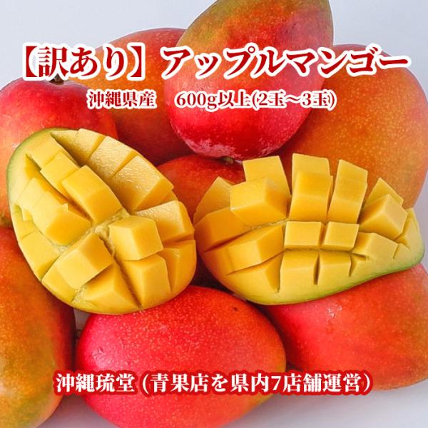 【即発送可・送料無料】沖縄産【訳あり】アップルマンゴー2〜3玉(600g以上) 沖縄琉堂 新鮮直送