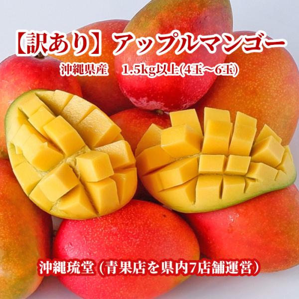 【即発送可・送料無料】沖縄産【訳あり】アップルマンゴー3〜7玉(1.5kg以上) 沖縄琉堂 新鮮直送
