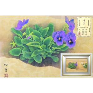 趣楽堂 ヤフーショッピング店 - Yahoo!ショッピング