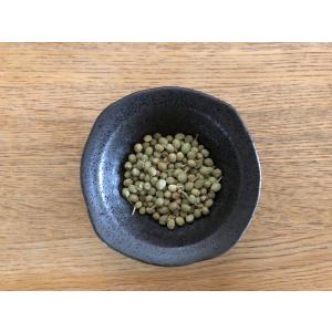 実山椒フリーズドライ