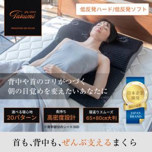 LOFTY 抱き枕カバー ボディピローLBP-310専用 カバー 抱きまくら 伸縮