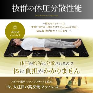 GOKUMIN ゴクミン 男のマットレス マッ...の詳細画像5