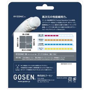 ライゾニック58 RYZONIC58 10m ...の詳細画像1