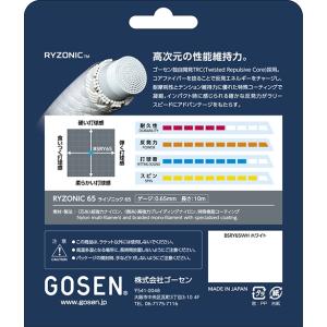 ライゾニック65 RYZONIC65 10m ...の詳細画像1
