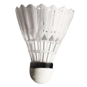 カーボンシャトル プロ NCSPROバドミント...の詳細画像1