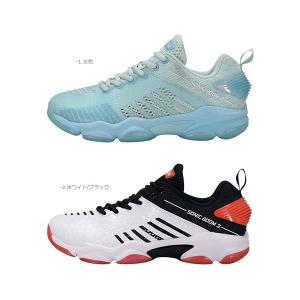 LI-NING リーニン バドミントン シューズ LI-NING AYAS036 2024年
