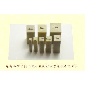 印材 上 青田石青白章 / 篆刻用印材の詳細画像3