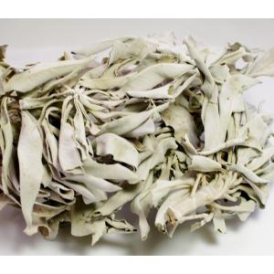 自生ナチュラルホワイトセージ　無農薬 (30g）　浄化用　カルフォルニア産