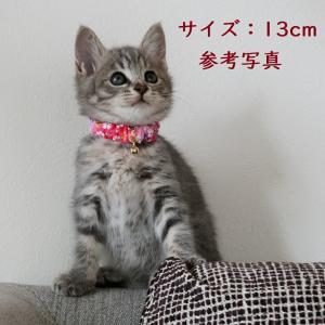 猫 首輪 シュシュ 鈴 子猫 安全 セーフティ...の詳細画像3