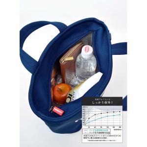 ディーエスケー.ピグ DSK.pig 保冷ラン...の詳細画像3