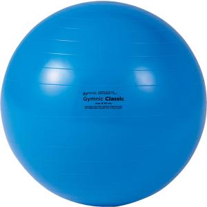 ギムニク (GYMNIC) 65 バランスボール 65cm 青 ブルー ヨガボール 男性