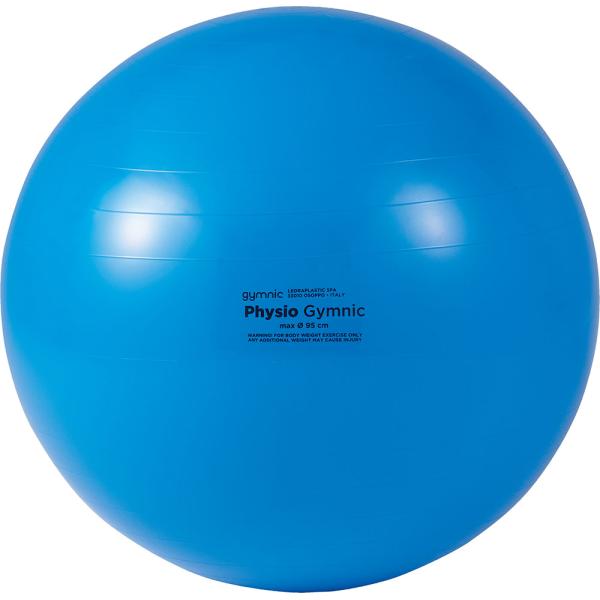 ダンノ DANNO ギムニクカラーボール95 ブルー 直径 95 cm  D5435