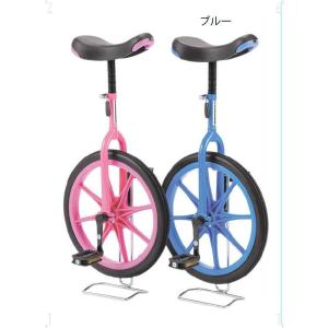 EVERNEW エバニュー 一輪車（ノーパンク) 16 ピンク EKD136-120 (送料