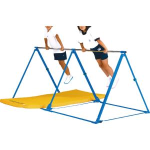 エバニュー Evernew 【メーカー直送品】 折りたたみ三角鉄棒 2 コンパクト 折り畳み式 屋内 屋外 小学校 低学年 2枠式 工具組み立て 授業 学校体育 EKD368