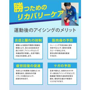 アクティバイタル Activital リカバリ...の詳細画像3