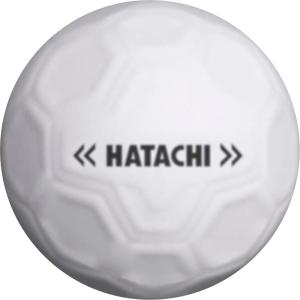 HATACHI ハタチ シュートボール グラウンド・ゴルフ 忠実構造ボール BH3460 01｜shz-yah