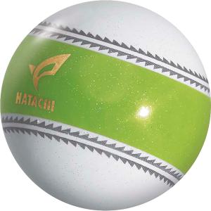 ハタチ HATACHI PGナビゲーション パ...の詳細画像2