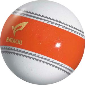 ハタチ HATACHI PGナビゲーション パ...の詳細画像4
